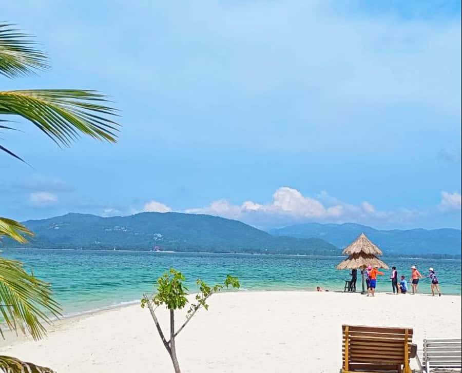 Ko Samui: Pig Island Snorkeling and Koh Tan Speedboat Tour - Koh Tan snorkeling, about one hour