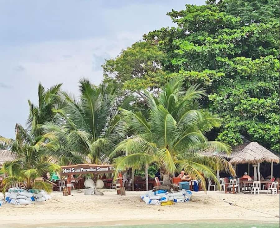 Ko Samui: Pig Island Snorkeling and Koh Tan Speedboat Tour - What the $51 price really buys you