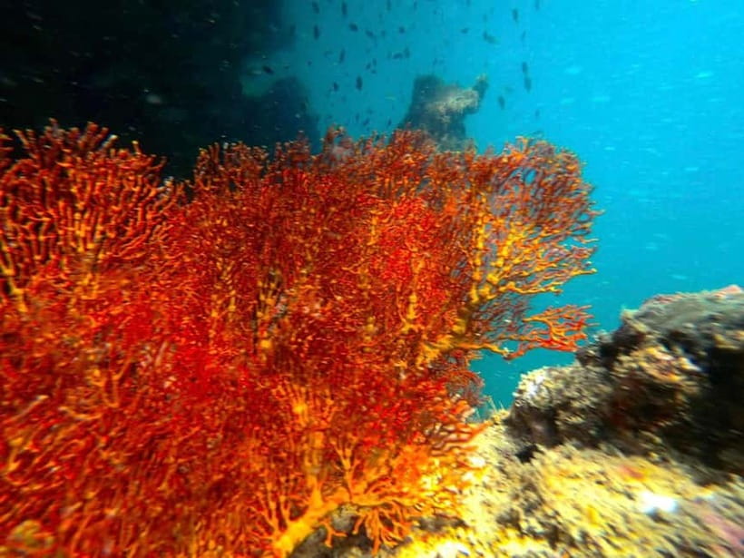 Koh Lanta: 4 Islands and Emerald Cave Snorkeling Trip - Key points to know before booking