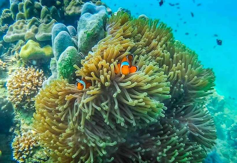 Koh Lanta: 4 Islands and Emerald Cave Snorkeling Trip - What the boat ride means for your day