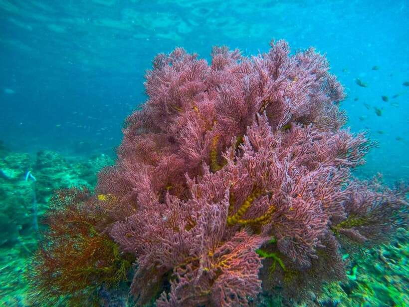 Koh Lanta: 4 Islands and Emerald Cave Snorkeling Trip - Weather can change the route