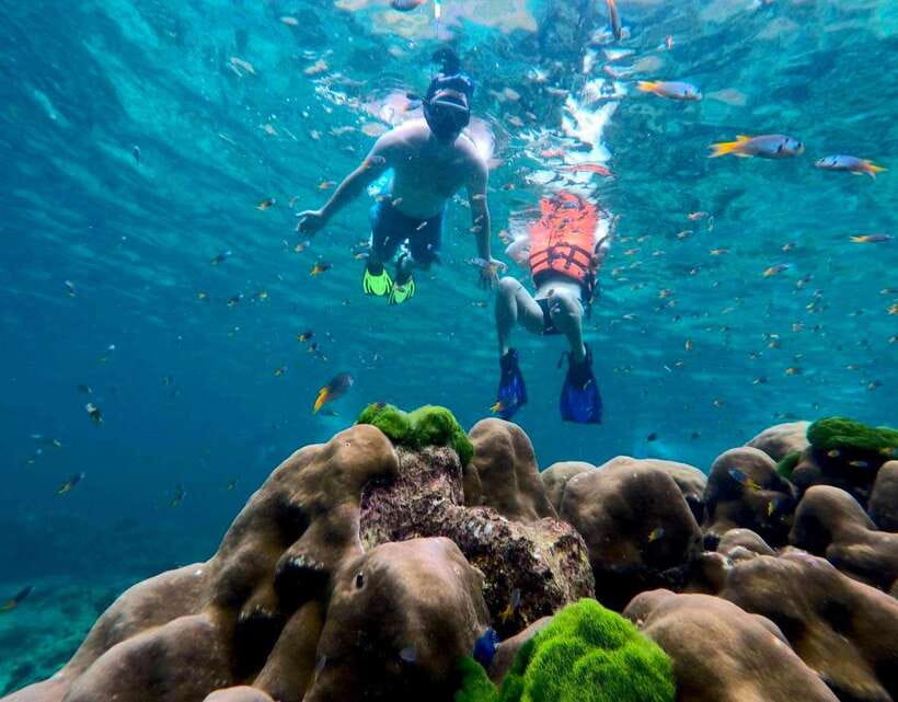Koh Lanta: 4 Islands, Emerald Cave & Koh Kradan by Speedboat - Four islands in one fast-moving day