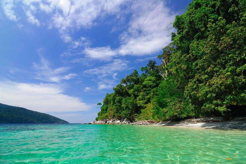 Koh Lipe: 5 Island Snorkeling Trip by Longtail Boat w/ Lunch - Koh Yang’s hard coral reef