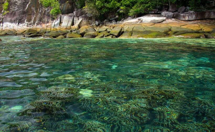 Koh Lipe: 5 Island Snorkeling Trip by Longtail Boat w/ Lunch - Koh Rawi lunch on a white-sand beach