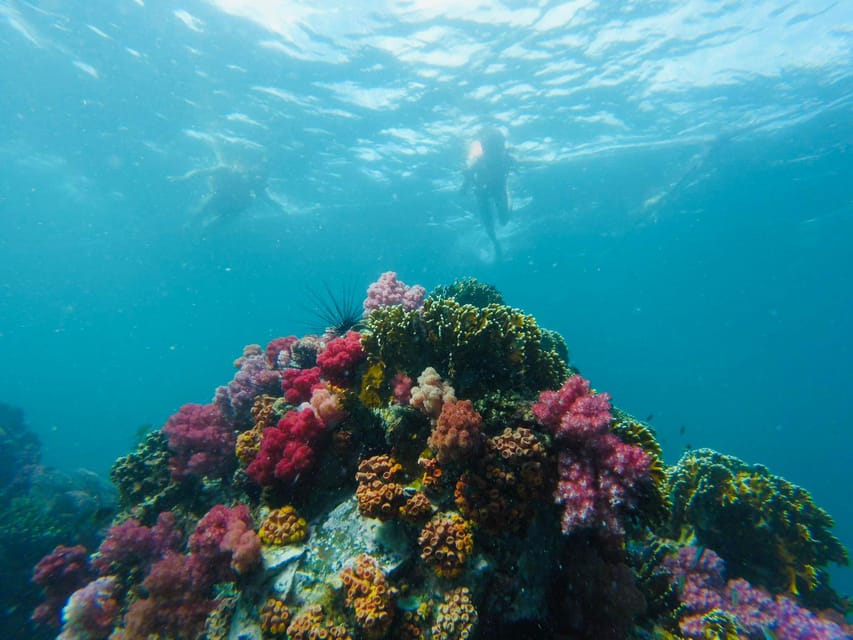 Koh Lipe: 7 Island Snorkeling Trip by Longtail Boat w/ Lunch - What the 27 dollar price really covers