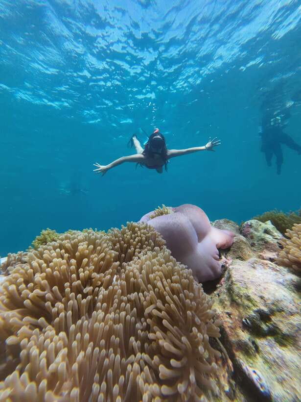 Koh Lipe: Half-Day Snorkelling Trip To 4 Islands 5 Points - Timing, meeting point, and the late-arrival risk