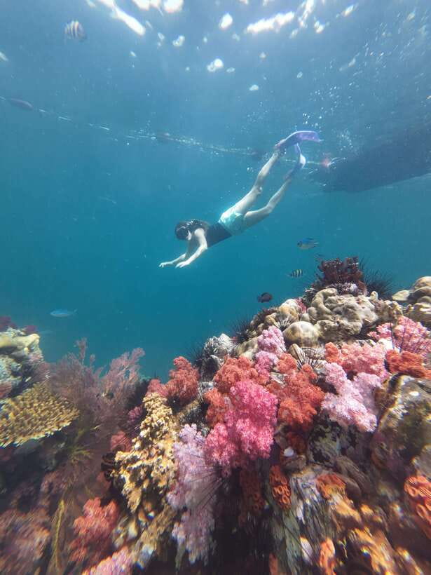 Koh Lipe: Half-Day Snorkelling Trip To 4 Islands 5 Points - Equipment, park fees, and what to pack