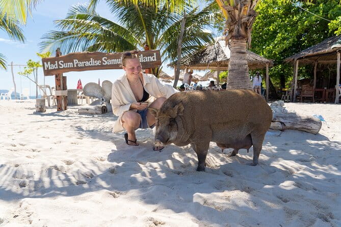 Koh Samui: Island Hopping Adventure in Coral and Pig Island - Getting to Thong Krut Pier early