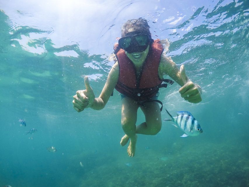 Koh Samui: Pig Island & Koh Tan Snorkeling by Speed boat - Why Pig Island is the main attraction