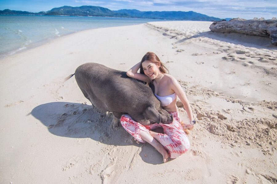 Koh Samui: Pig Island & Koh Tan Snorkeling by Speed boat - How long the day really takes