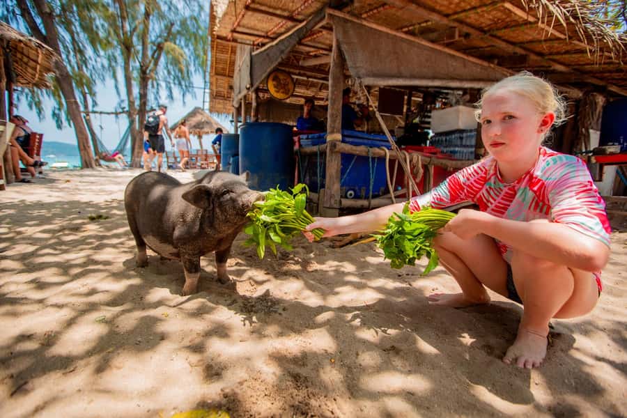 Koh Samui: Pig Island & Koh Tan Speedboat Tour with Lunch - Lunch, drinks, and an itinerary detail worth checking