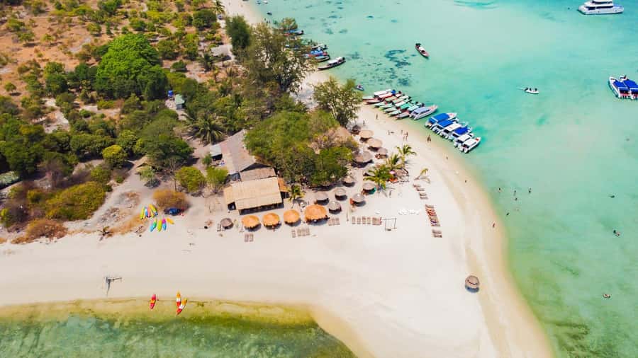 Koh Samui: Pig Island & Koh Tan Speedboat Tour with Lunch - Who will enjoy this half-day outing