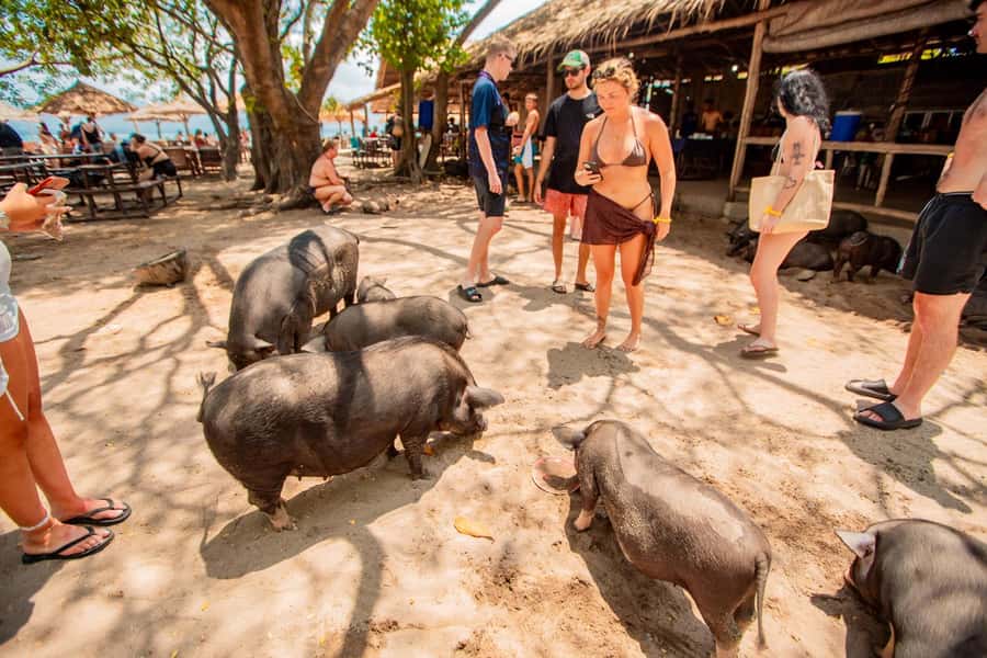 Koh Samui: Pig Island & Koh Tan Speedboat Tour with Lunch - The 30-minute speedboat ride to Koh Tan