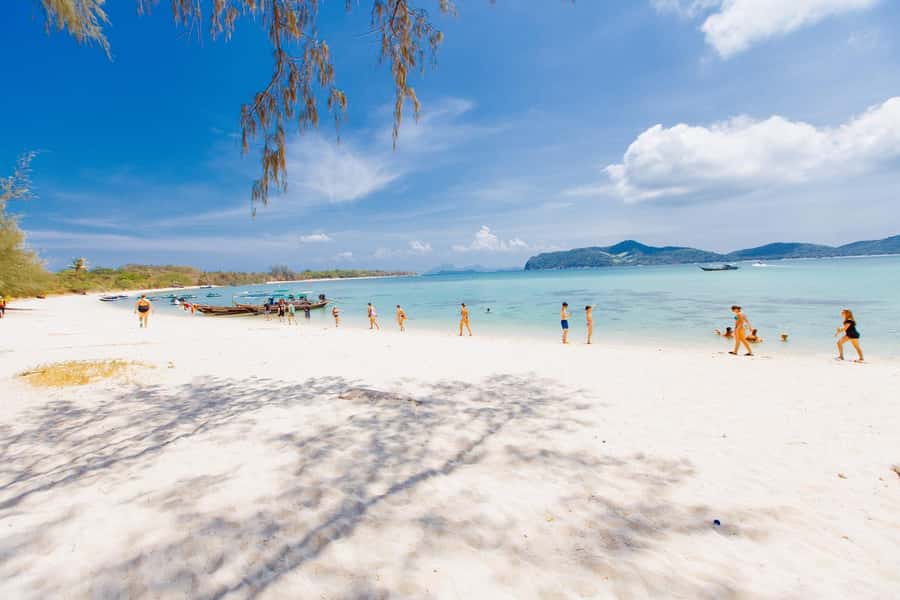 Koh Samui: Pig Island Private Longtail Boat Tour - What the Pig Island trip is really like