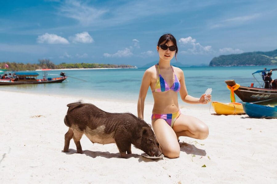 Koh Samui: Pig Island Private Longtail Boat Tour - Snorkeling at Koh Taen