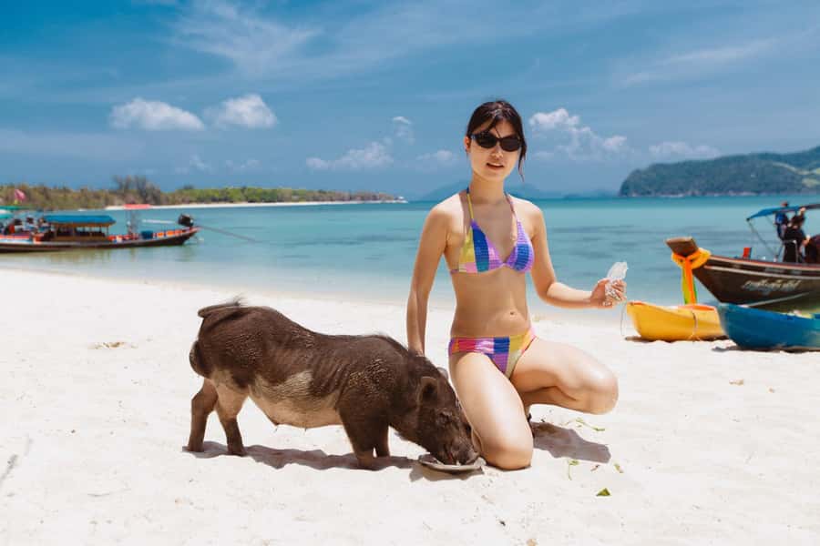 Koh Samui: Pig Island Private Longtail Boat Tour - Koh Madsum, where the pigs own the beach
