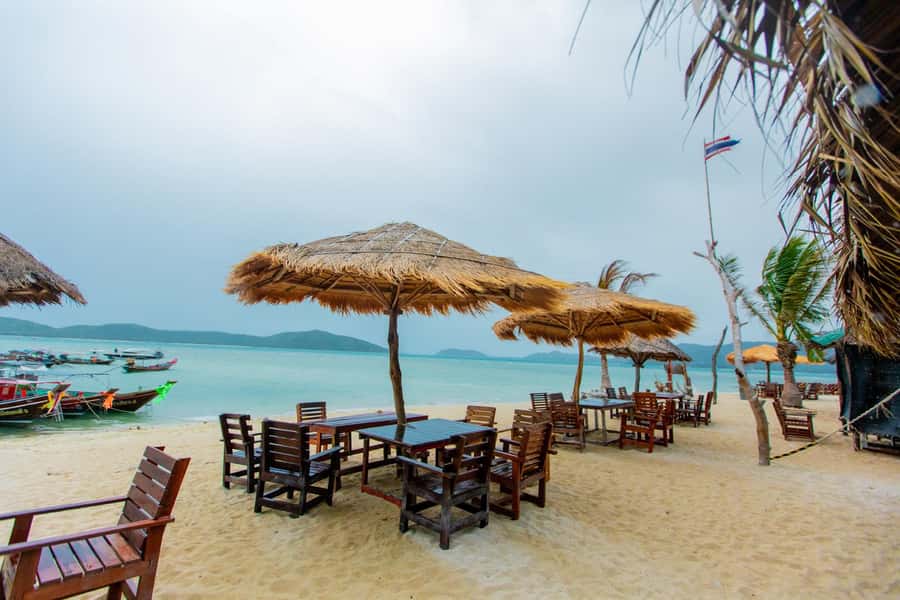 Koh Samui: Pink Dolphin Spotting & Pig Island Speedboat Tour - Should you book it?