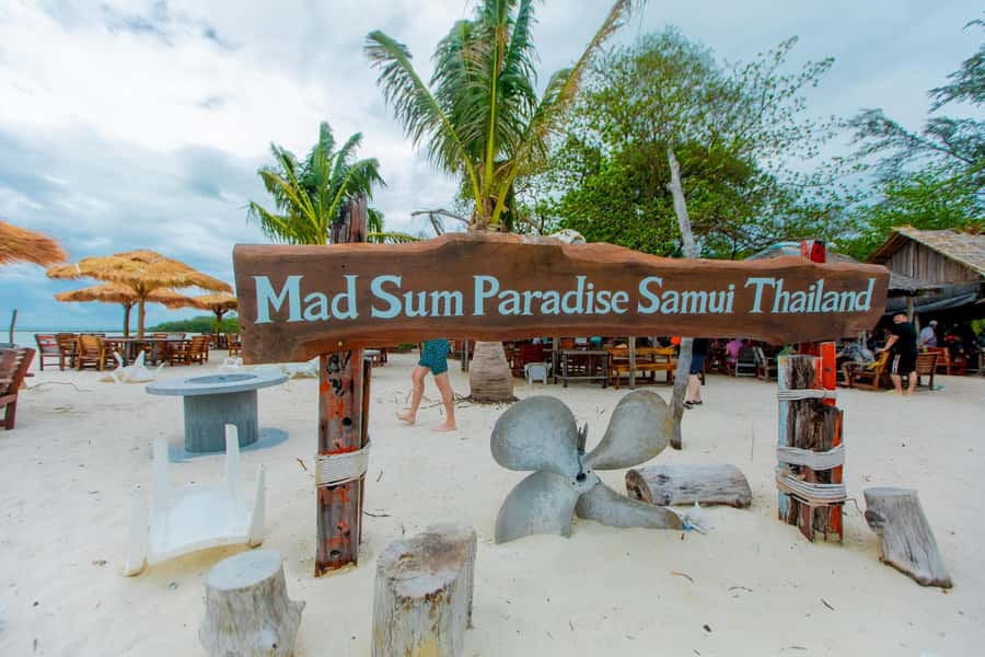 Koh Samui: Pink Dolphin Spotting & Pig Island Speedboat Tour - The early start from Koh Samui
