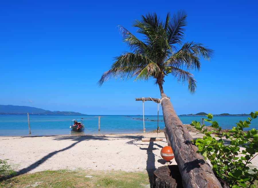 Koh Samui: Private Island Hopping Boat Tour - Your day begins with a hotel pickup on Koh Samui