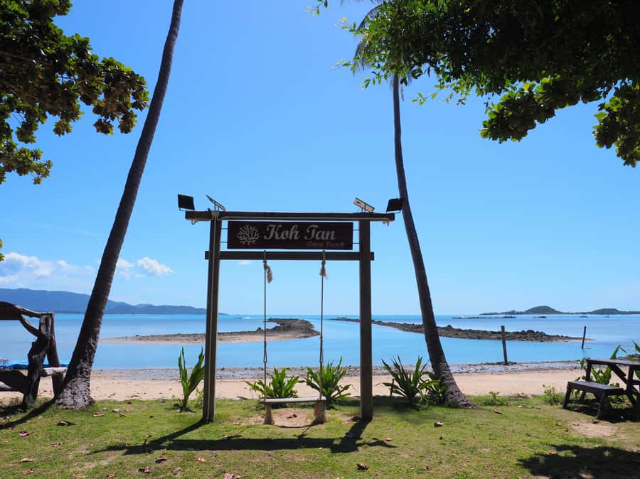 Koh Samui: Private Island Hopping Boat Tour - Koh Tan offers marine life and kayaking