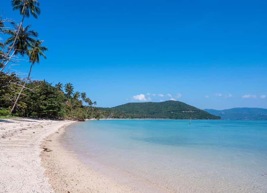 Koh Samui: Private Island Hopping Boat Tour - Guides can make or break the experience