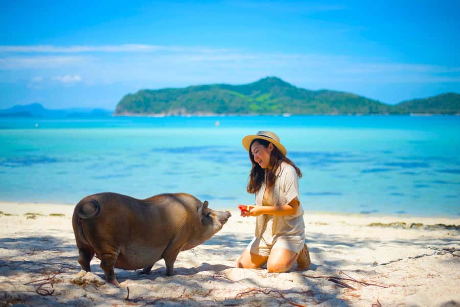 Koh Samui: Private Longtail Boat to Pig Island with Snorkel - Two and a half hours on Koh Madsum