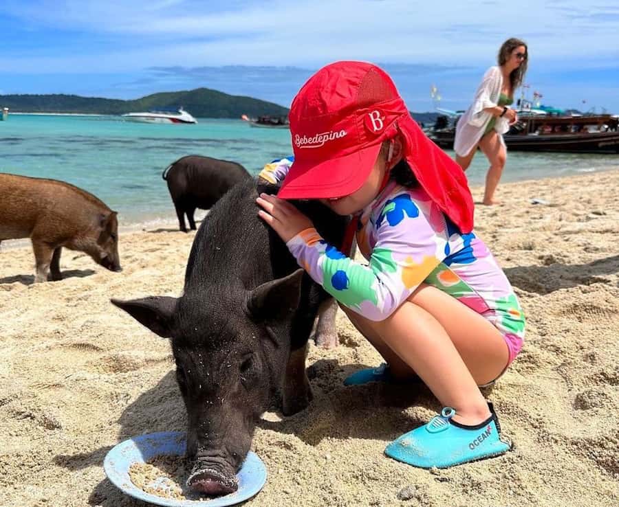 Koh Samui: Private Longtail Boat to Pig Island with Snorkel - Choosing the best departure time