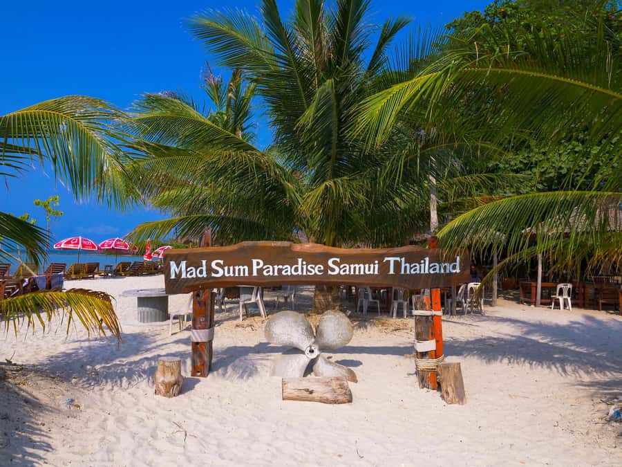 Koh Samui: Private Longtail Boat to Pig Island with Snorkel - Food, shade, and the useful practical details