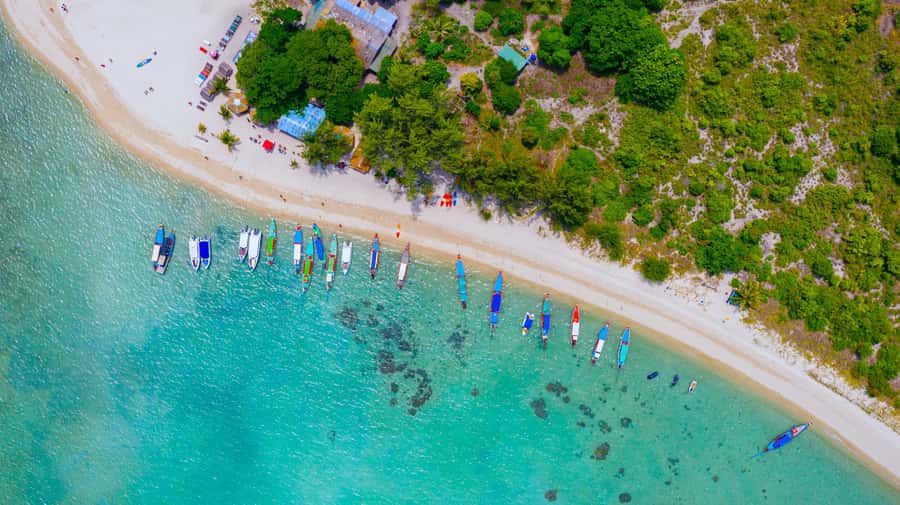 Koh Samui: Private Longtail Boat to Pig Island with Snorkel - Who should book this Koh Samui outing?
