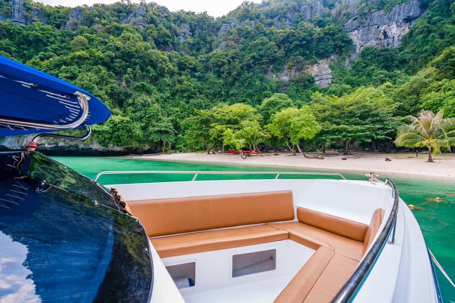 Koh Samui: Private Speedboat to Pig Island with Snorkeling - Meeting the pigs on Koh Madsum