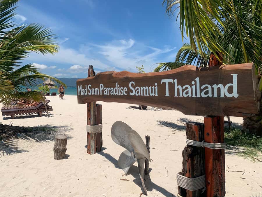 Koh Samui: Private Speedboat to Pig Island with Snorkeling - What the private crew adds