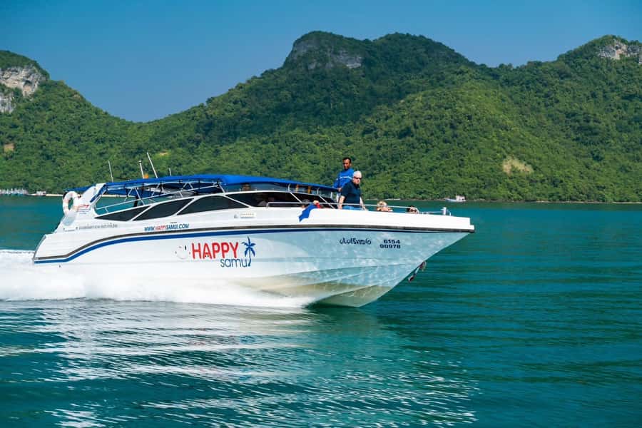 Koh Samui: Private Speedboat to Pig Island with Snorkeling - Leaving Koh Samui by speedboat