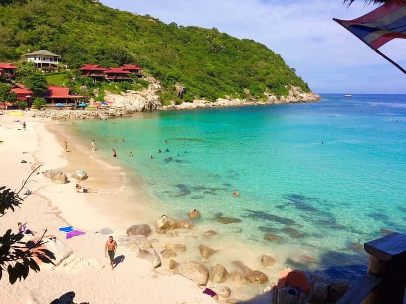 Koh Tao: Underwater Gems, Island Hopping & Snorkel Adventure - Shark Bay and the final wildlife search