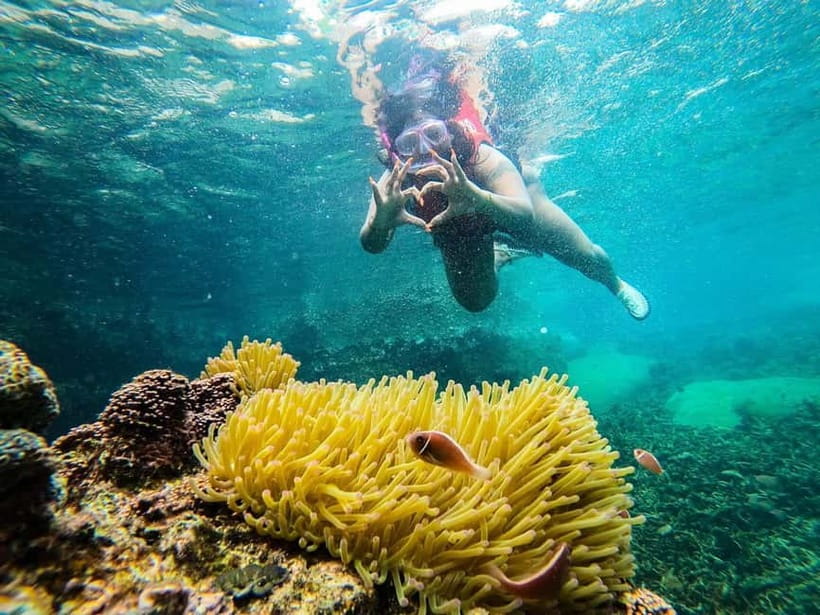 Koh Tao: Underwater Gems, Island Hopping & Snorkel Adventure - What the $27 price really covers