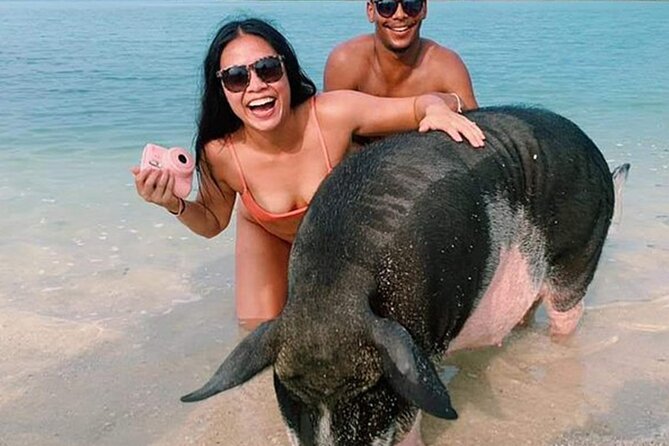 kohsamui.tours - Pig Island Snorkeling Eco Tour by Speed Boat - Why Pig Island is more than a quick animal photo
