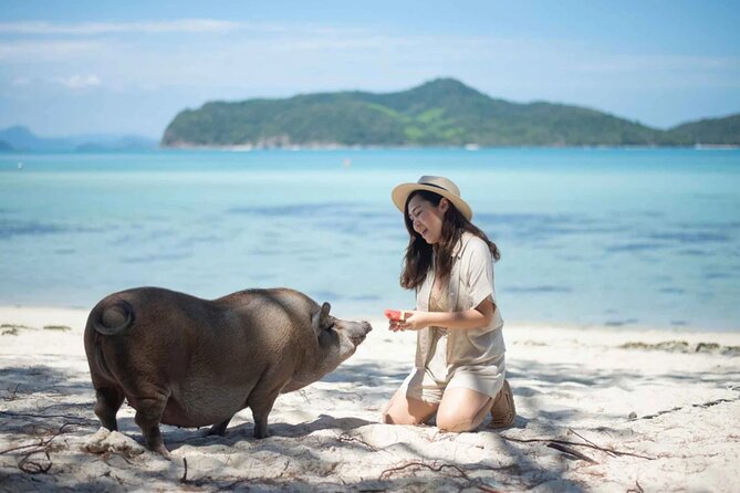 kohsamui.tours - Pig Island Snorkeling Eco Tour by Speed Boat - Snorkeling above Koh Tan’s coral reef
