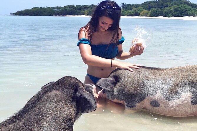kohsamui.tours - Pig Island Snorkeling Eco Tour by Speed Boat - Arriving at Koh Mudsum, the island with pigs