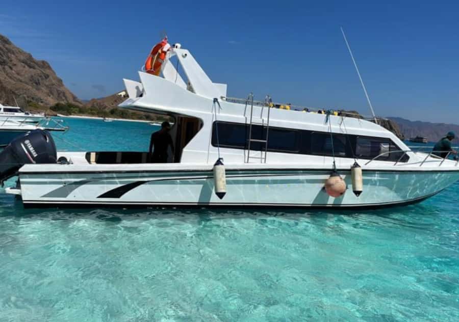 Komodo Island: 3D2N Private Speedboat Tour with Hotel - Private touring, guides, and timing