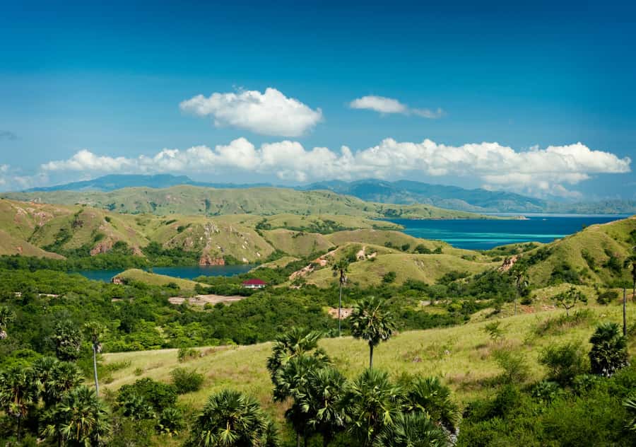Komodo Island: Private 3-Day Tour with Boat and Hotel Stay - FAQ