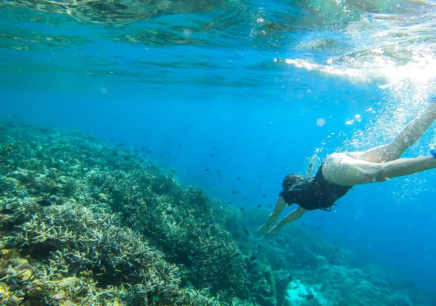 Komodo Island: Private 3-Day Tour with Boat and Hotel Stay - Day 1: Bidadari snorkeling, Rinca dragons, and a night near Padar