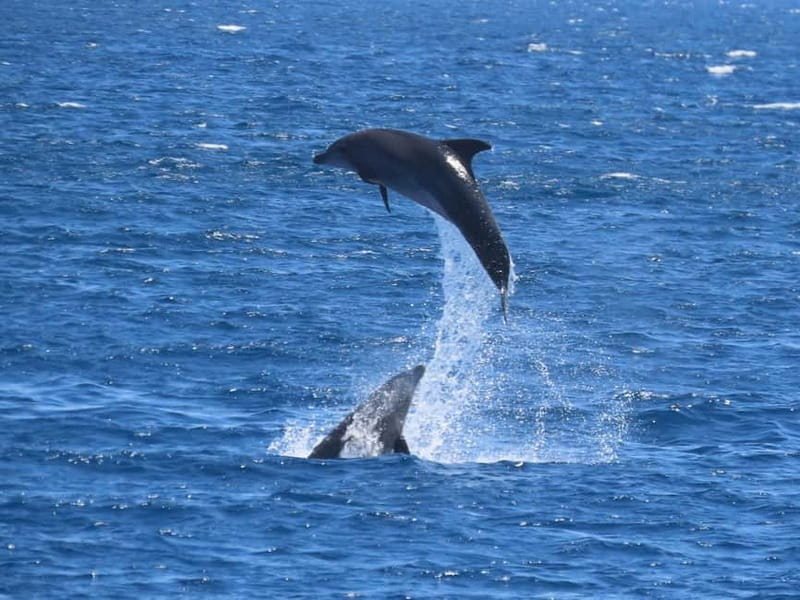 Kos: 3-Island Cruise with Lunch and Hotel Transfer - Life aboard the wooden yacht