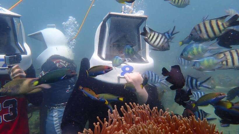 Kota Kinabalu: Snorkeling & Island Hopping Sapi & Manukan - Boat rides, guides, and the pace of the day