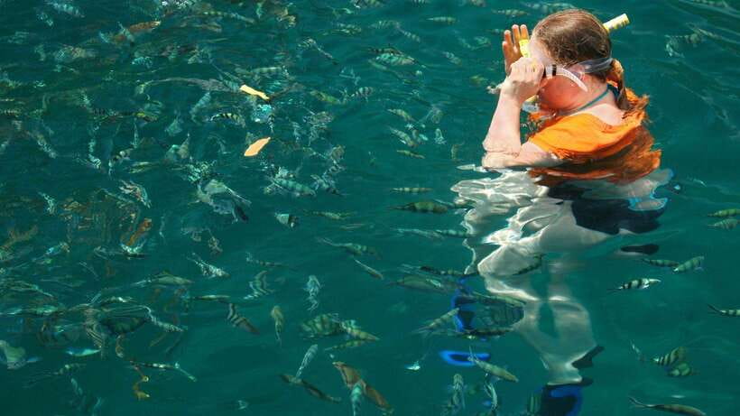 Kota Kinabalu: Snorkeling & Island Hopping Sapi & Manukan - Optional activities and extra spending