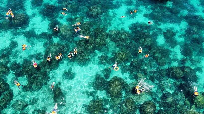 Krabi: Phi Phi and 4 Islands with Snorkeling by Speed Boat - Maya Bay, the famous stop