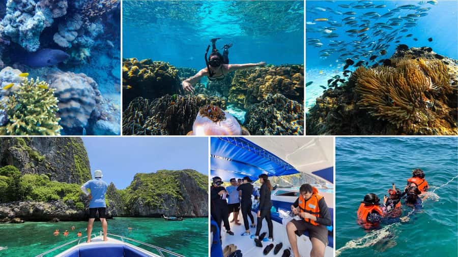 Krabi: Phi Phi Islands Full-Day Private Speedboat Charter - Lunch at Arida Restaurant 2