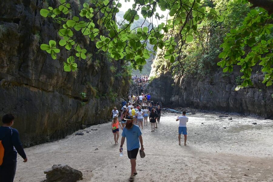 Krabi: Phi Phi Islands & Maya Bay Speedboat Tour with Lunch - Shared or private tour: choose carefully