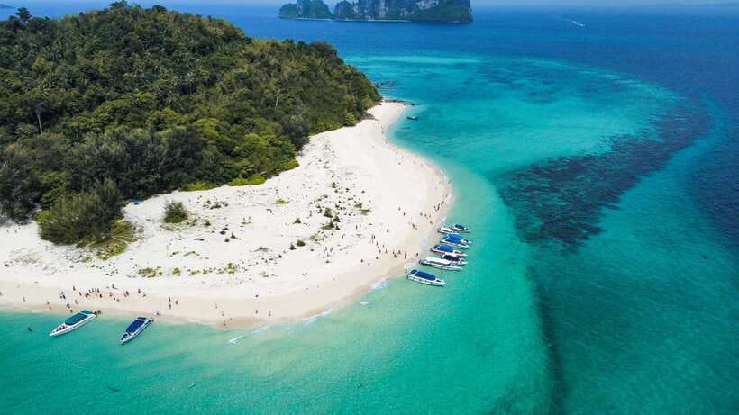 Krabi: Phi Phi Islands Speedboat Tour with Buffet Lunch - Key points to know before booking