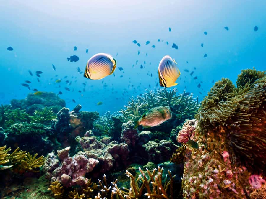 Krabi: Private 4 Islands Snorkeling Tour with Long-Tail Boat - Should you book this Krabi tour?