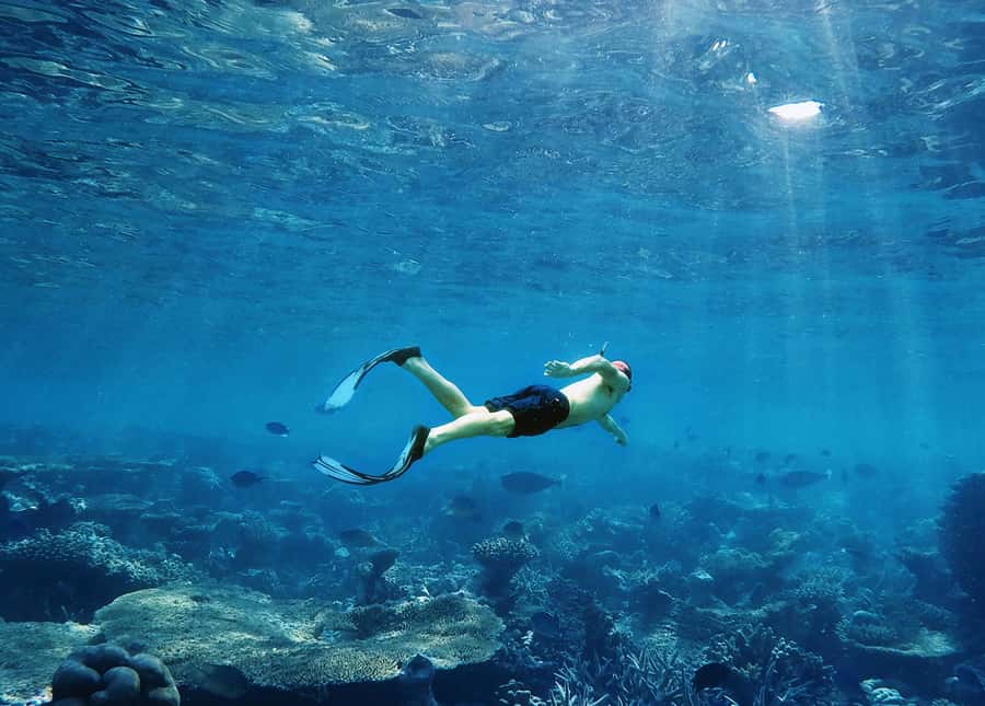 Krabi: Private Hong Island Snorkeling Tour w/ Long-Tail Boat - Key points at a glance