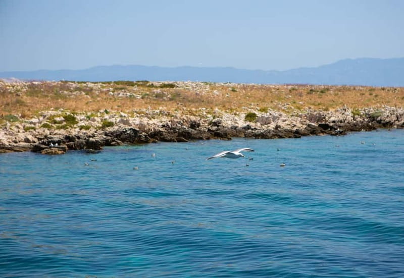 Krk : Sailing along the coasts of island Krk and Plavnik - Setting Sail From Krk Harbor